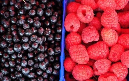 Été : quels fruits et légumes consommer ?